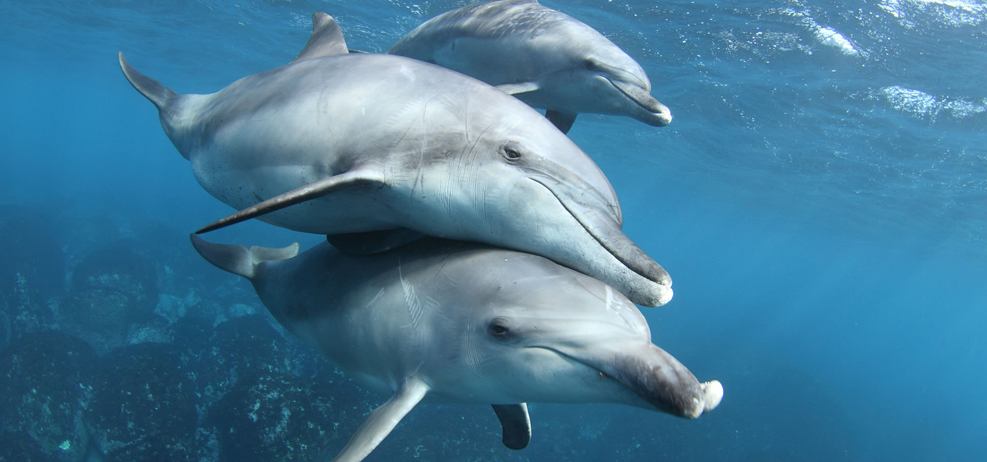 旅を通じてこの国をもっと幸せに